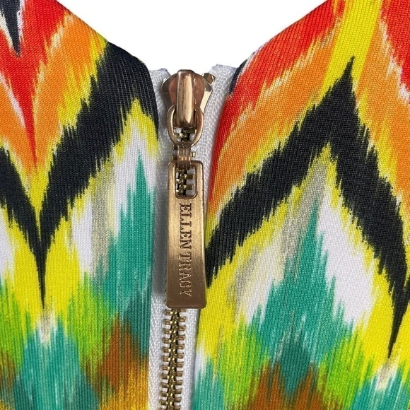 ELLEN Tracy Sleeveless Multi Colored Fit and Flare Dress - Picture 6 of 8